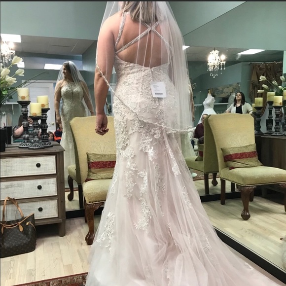 Essence of Australia wedding dress - Picture 4 of 4